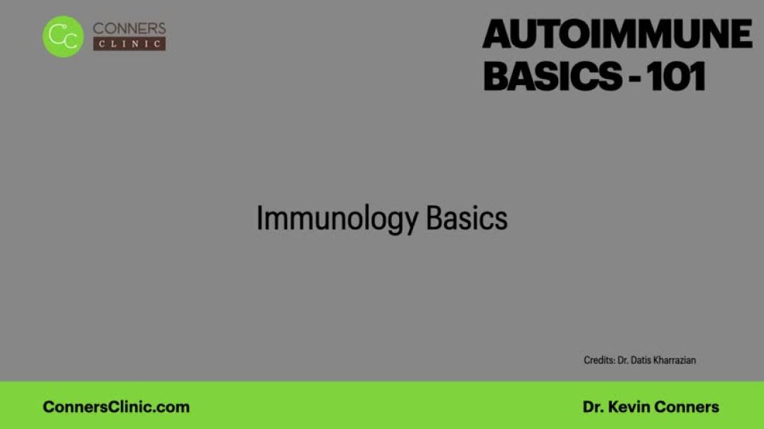 Immunology Basics with Autoimmune Disease | Conners Clinic