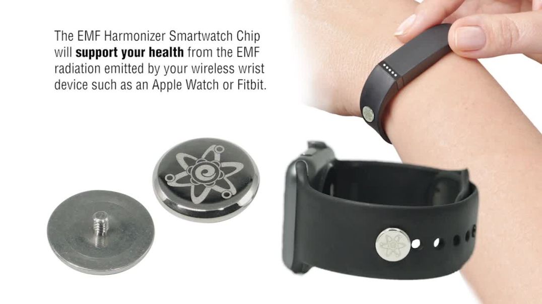 EMF Harmonizer Smartwatch Chip | Conners Clinic - Alternative Cancer Coaching