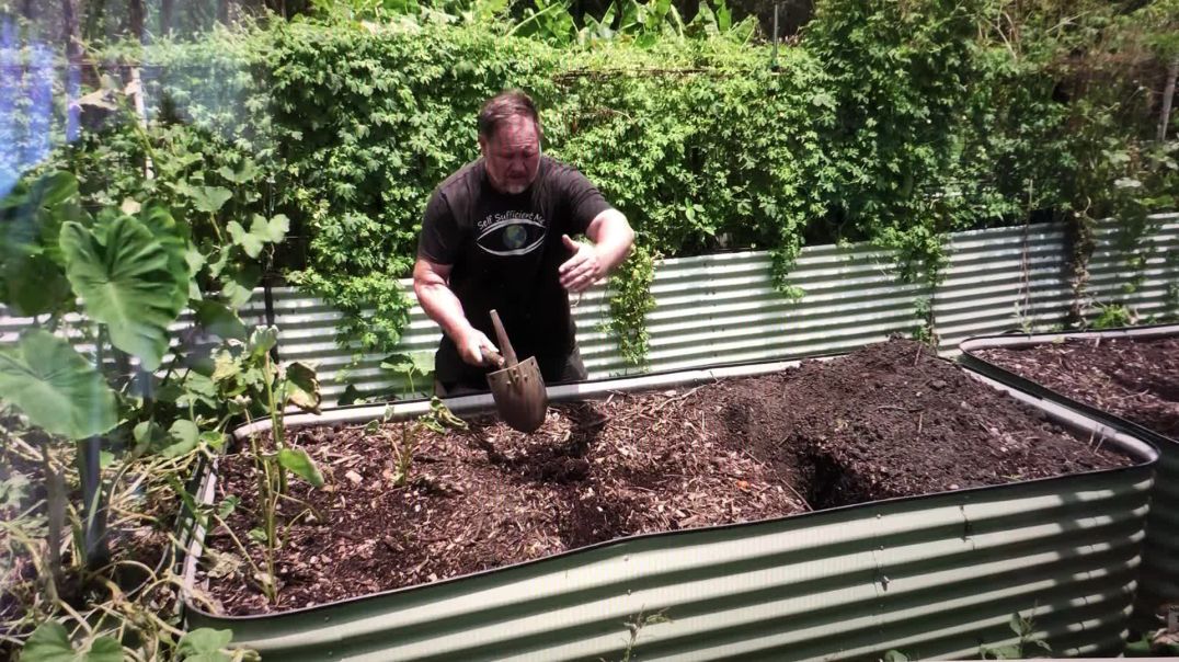 What Happens to Wood Chips in the Base of a Raised Garden Bed? Mark's link below.