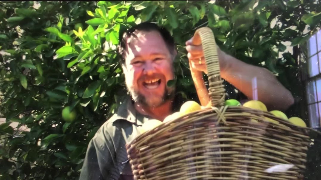 5 Tips How to Grow a Ton of Limes on One Tree - Totally Organic!  Mark's link below