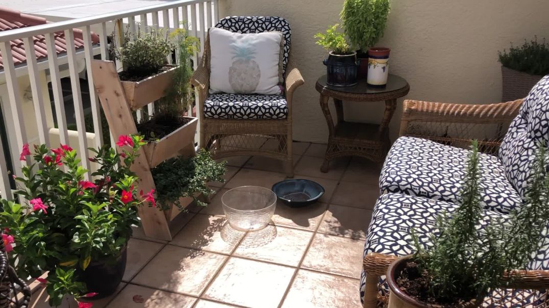Growing a garden on a small patio is quite possible and fun!
