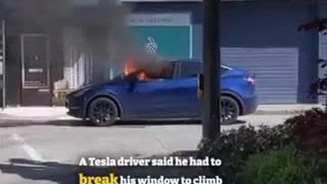 Tesla  car, is this vehicle safe ?