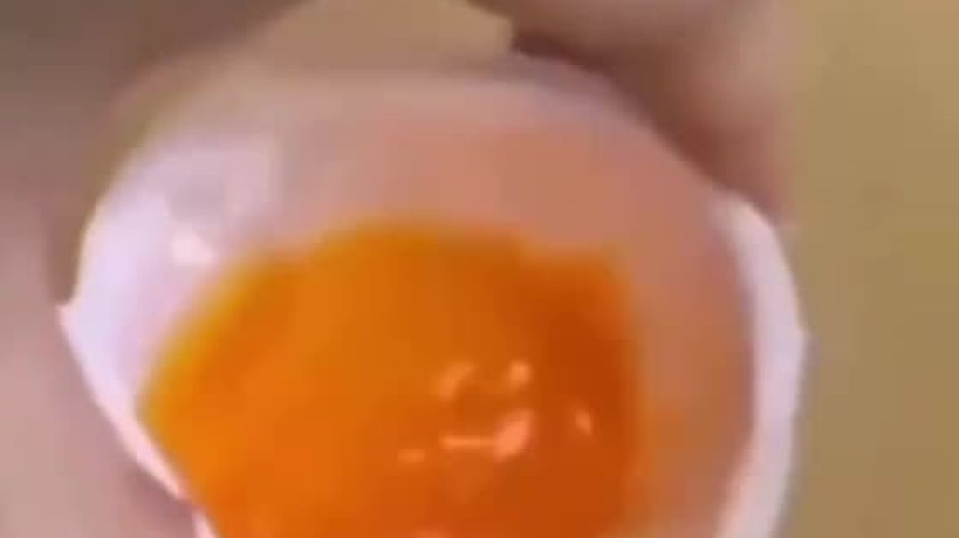 How can this be Possible? Fake Eggs